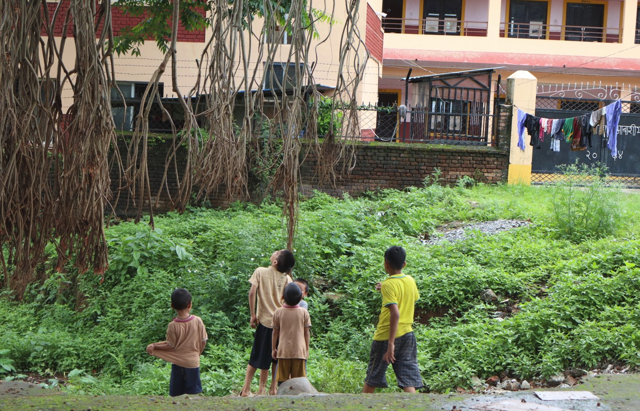 Image of 