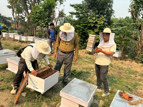 News Coverage on The Chepang Chiuri Honey Project.