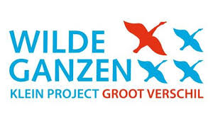 image of Wilde Ganzen