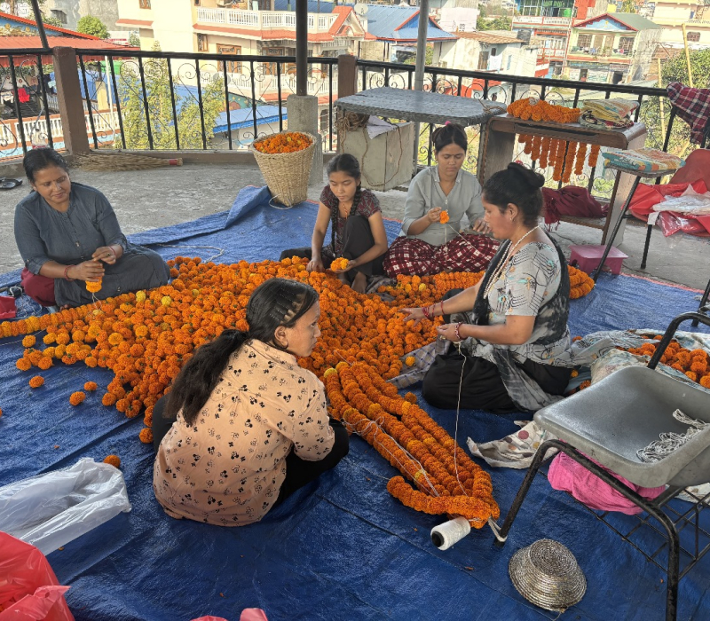 Agriculture and livelihoods
